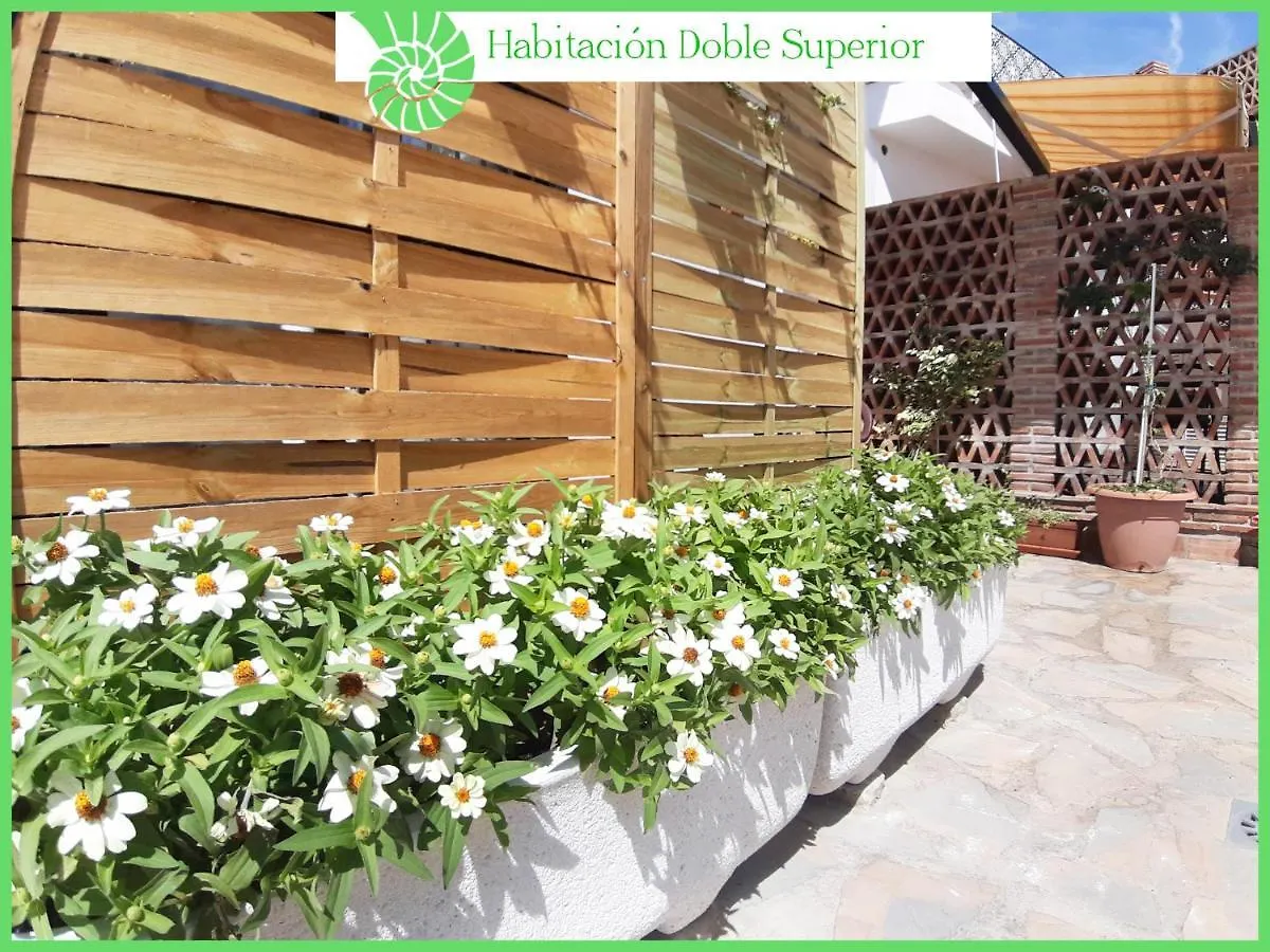 Biznaga Hols (Adults Only) Apartment Benalmadena Homestay