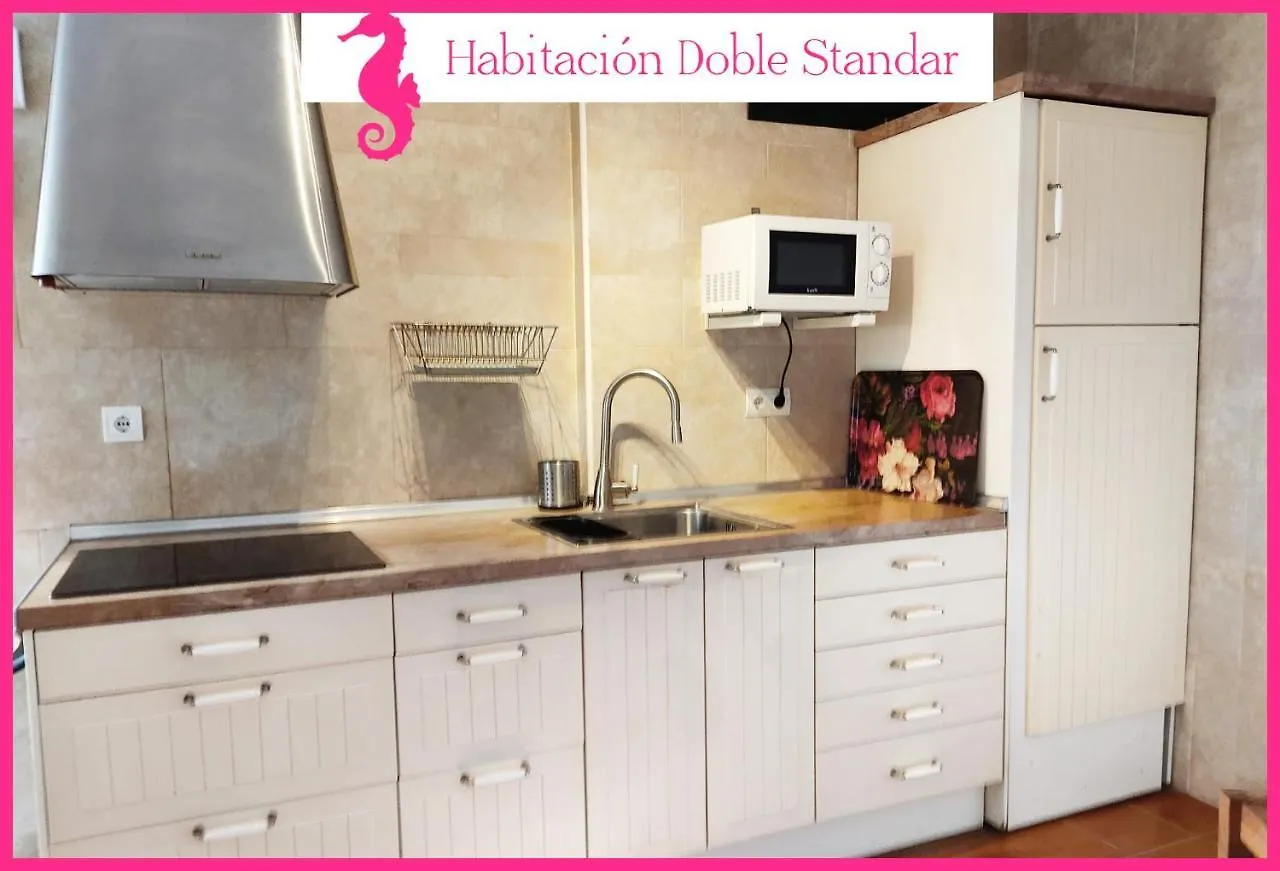 Homestay Biznaga Hols (Adults Only) Apartment Benalmadena